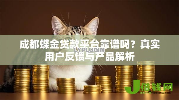 成都蝶金贷款平台靠谱吗？真实用户反馈与产品解析
