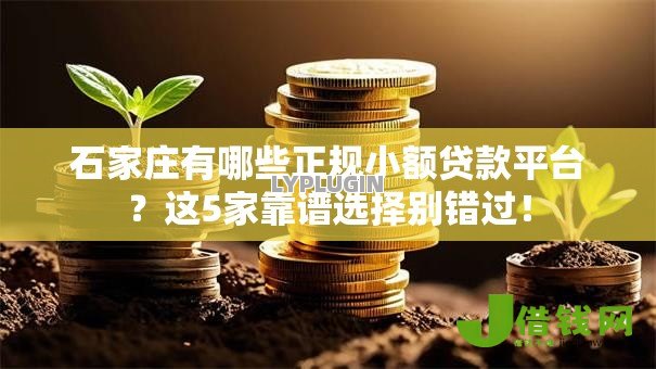 石家庄有哪些正规小额贷款平台?这5家靠谱选择别错过! 石家庄有哪些正规小额贷款平台?这5家靠谱选择别错过!