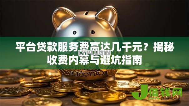 平台贷款服务费高达几千元?揭秘收费内幕与避坑指南 平台贷款服务费高达几千元?揭秘收费内幕与避坑指南