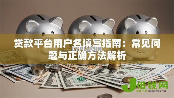 贷款平台用户名填写指南:常见问题与正确方法解析 贷款平台用户名填写指南:常见问题与正确方法解析