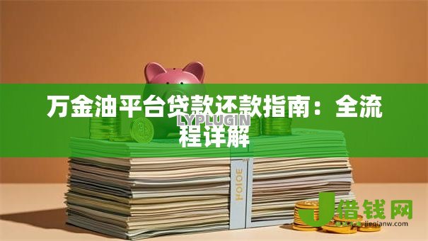 万金油平台贷款还款指南：全流程详解