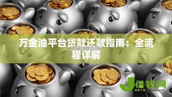 万金油平台贷款还款指南：全流程详解