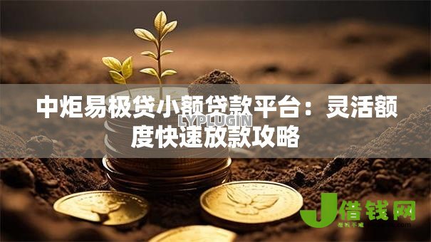 中炬易极贷小额贷款平台:灵活额度快速放款攻略 中炬易极贷小额贷款平台:灵活额度快速放款攻略