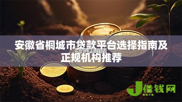 安徽省桐城市贷款平台选择指南及正规机构推荐