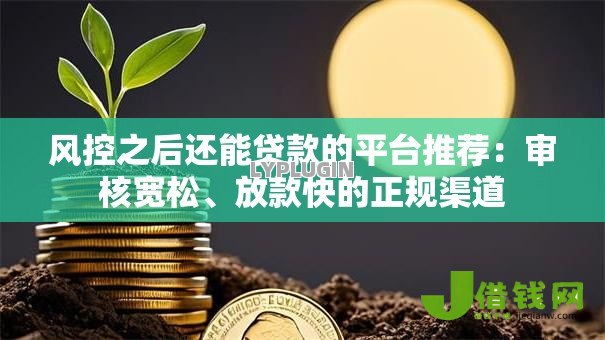 风控之后还能贷款的平台推荐：审核宽松、放款快的正规渠道