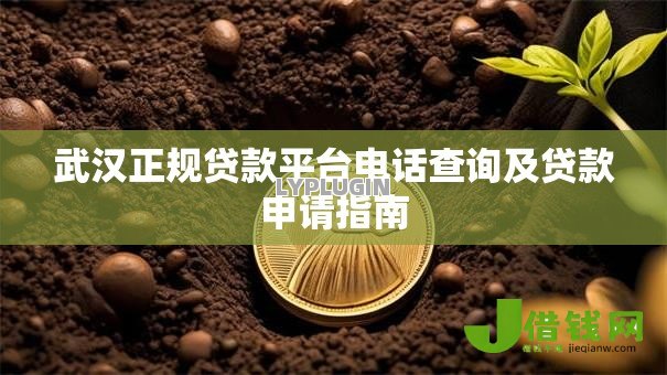 武汉正规贷款平台电话查询及贷款申请指南