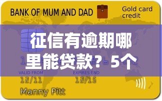 征信有逾期哪里能贷款？5个真实平台及申请技巧