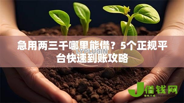 急用两三千哪里能借?5个正规平台快速到账攻略 急用两三千哪里能借?5个正规平台快速到账攻略