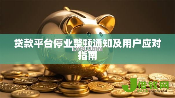 贷款平台停业整顿通知及用户应对指南 贷款平台停业整顿通知及用户应对指南
