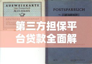 第三方担保平台贷款全面解析：流程、风险与选择技巧