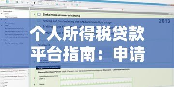 个人所得税贷款平台指南:申请流程与注意事项 个人所得税贷款平台指南:申请流程与注意事项