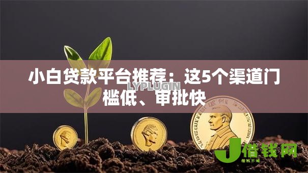 小白贷款平台推荐：这5个渠道门槛低、审批快
