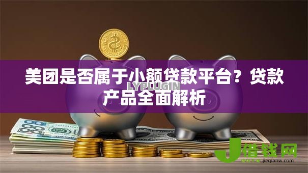 美团是否属于小额贷款平台?贷款产品全面解析 美团是否属于小额贷款平台?贷款产品全面解析