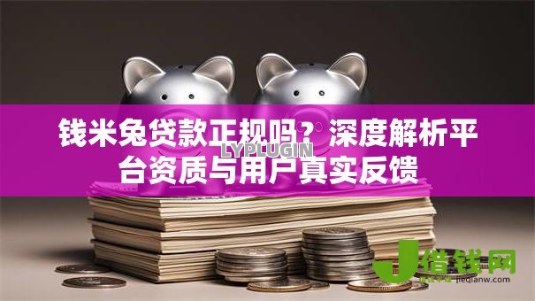 钱米兔贷款正规吗？深度解析平台资质与用户真实反馈
