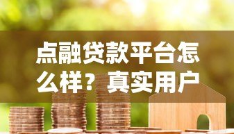 点融贷款平台怎么样?真实用户测评与申请攻略 点融贷款平台怎么样?真实用户测评与申请攻略