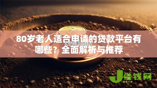 80岁老人适合申请的贷款平台有哪些?全面解析与推荐 80岁老人适合申请的贷款平台有哪些?全面解析与推荐
