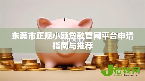 东莞市正规小额贷款官网平台申请指南与推荐