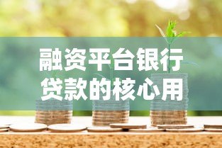 融资平台银行贷款的核心用途与申请指南 融资平台银行贷款的核心用途与申请指南