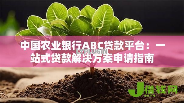 中国农业银行ABC贷款平台：一站式贷款解决方案申请指南