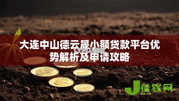 大连中山德云晟小额贷款平台优势解析及申请攻略 大连中山德云晟小额贷款平台优势解析及申请攻略