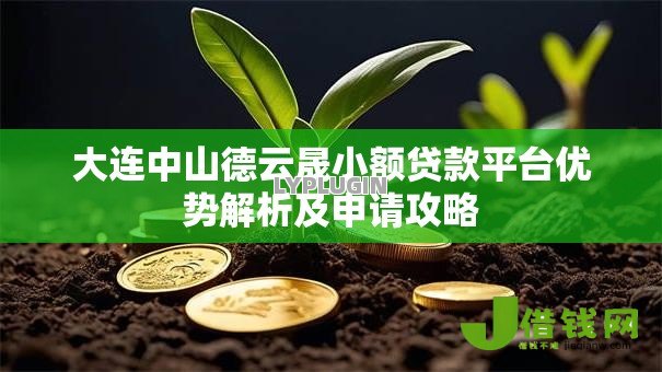 大连中山德云晟小额贷款平台优势解析及申请攻略 大连中山德云晟小额贷款平台优势解析及申请攻略