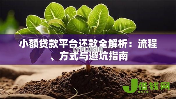 小额贷款平台还款全解析:流程、方式与避坑指南 小额贷款平台还款全解析:流程、方式与避坑指南
