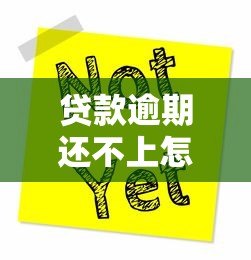 贷款逾期还不上怎么办？5步教你正确处理债务