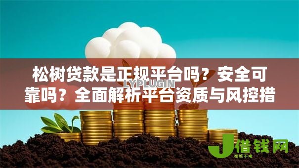松树贷款是正规平台吗?安全可靠吗?全面解析平台资质与风控措施 松树贷款是正规平台吗?安全可靠吗?全面解析平台资质与风控措施