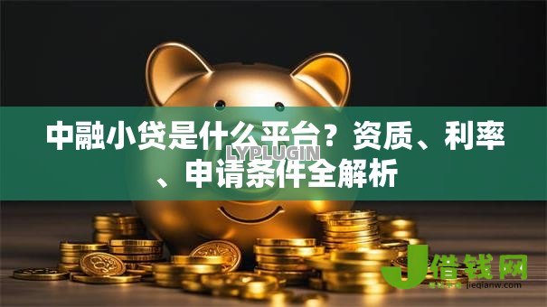 中融小贷是什么平台?资质、利率、申请条件全解析 中融小贷是什么平台?资质、利率、申请条件全解析