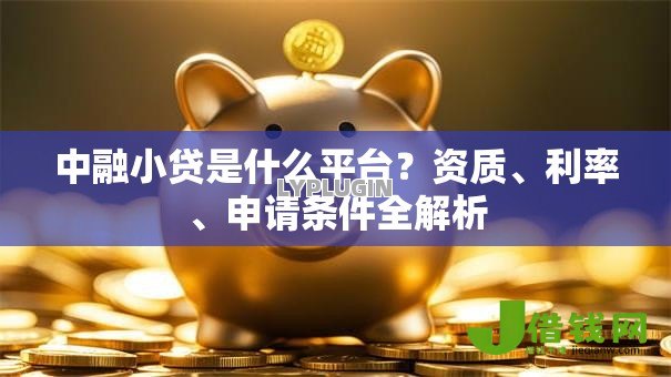 中融小贷是什么平台?资质、利率、申请条件全解析 中融小贷是什么平台?资质、利率、申请条件全解析