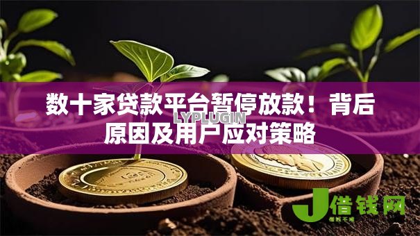 数十家贷款平台暂停放款!背后原因及用户应对策略 数十家贷款平台暂停放款!背后原因及用户应对策略