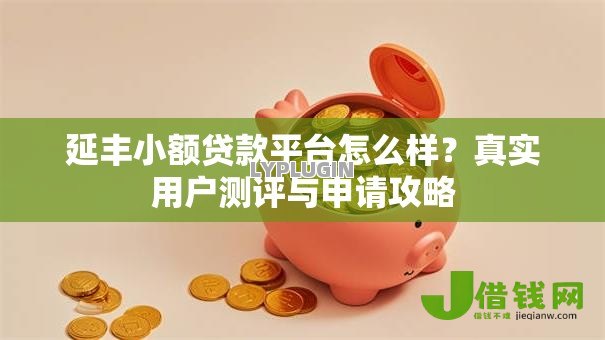 延丰小额贷款平台怎么样?真实用户测评与申请攻略 延丰小额贷款平台怎么样?真实用户测评与申请攻略