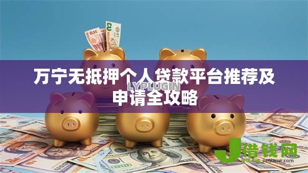 万宁无抵押个人贷款平台推荐及申请全攻略