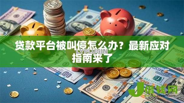 贷款平台被叫停怎么办？最新应对指南来了