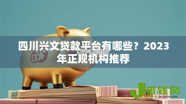 四川兴文贷款平台有哪些？2023年正规机构推荐