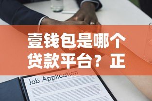 壹钱包是哪个贷款平台？正规贷款平台解析与使用指南