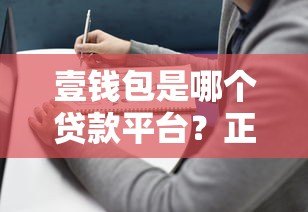 壹钱包是哪个贷款平台？正规贷款平台解析与使用指南