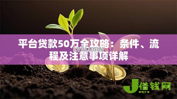 平台贷款50万全攻略:条件、流程及注意事项详解 平台贷款50万全攻略:条件、流程及注意事项详解