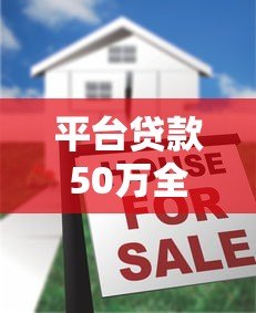 平台贷款50万全攻略:条件、流程及注意事项详解 平台贷款50万全攻略:条件、流程及注意事项详解