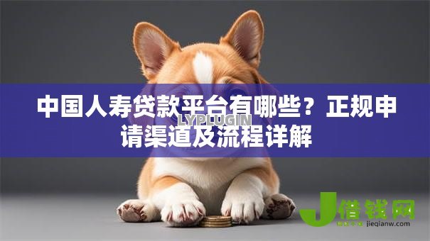 中国人寿贷款平台有哪些?正规申请渠道及流程详解 中国人寿贷款平台有哪些?正规申请渠道及流程详解