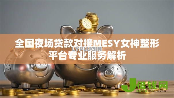 全国夜场贷款对接MESY女神整形平台专业服务解析 全国夜场贷款对接MESY女神整形平台专业服务解析