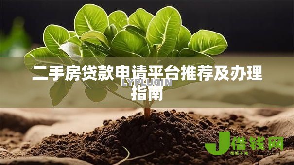 二手房贷款申请平台推荐及办理指南 二手房贷款申请平台推荐及办理指南