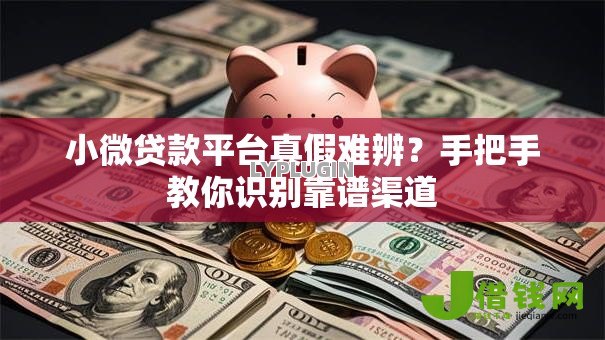 小微贷款平台真假难辨？手把手教你识别靠谱渠道
