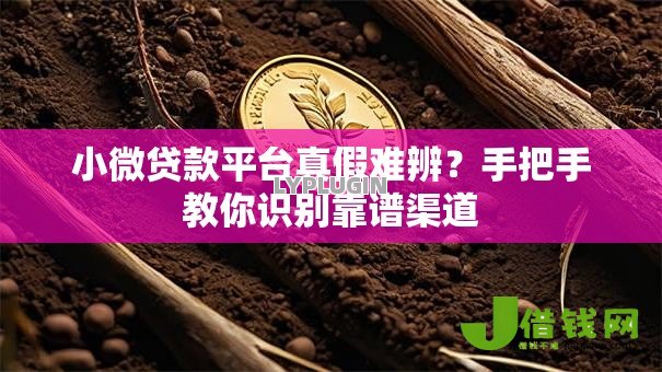 小微贷款平台真假难辨？手把手教你识别靠谱渠道