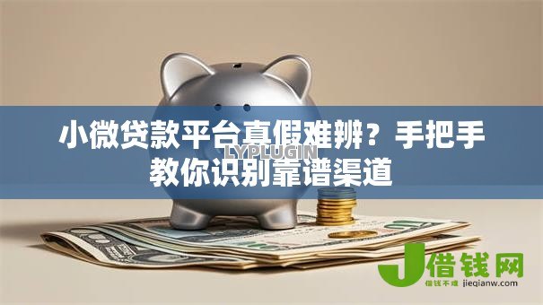 小微贷款平台真假难辨？手把手教你识别靠谱渠道