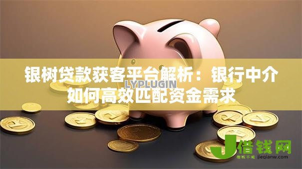 银树贷款获客平台解析:银行中介如何高效匹配资金需求 银树贷款获客平台解析:银行中介如何高效匹配资金需求