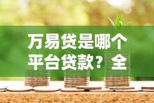 万易贷是哪个平台贷款?全面解析其背景与借款流程 万易贷是哪个平台贷款?全面解析其背景与借款流程