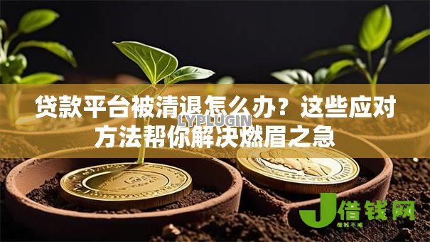 贷款平台被清退怎么办?这些应对方法帮你解决燃眉之急 贷款平台被清退怎么办?这些应对方法帮你解决燃眉之急
