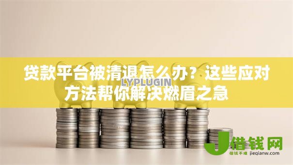 贷款平台被清退怎么办?这些应对方法帮你解决燃眉之急 贷款平台被清退怎么办?这些应对方法帮你解决燃眉之急