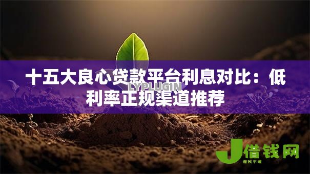 十五大良心贷款平台利息对比:低利率正规渠道推荐 十五大良心贷款平台利息对比:低利率正规渠道推荐